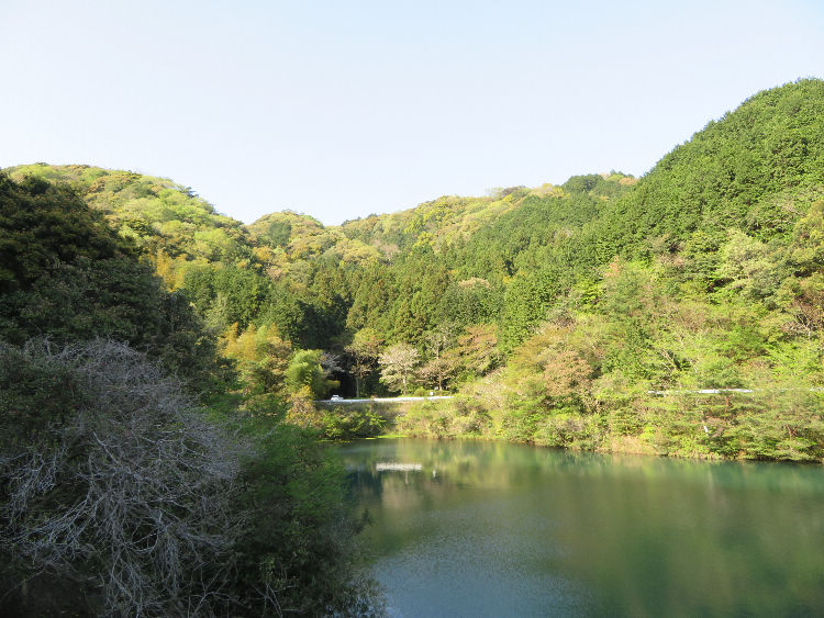 山へgomen … 山口県の山歩き記録
