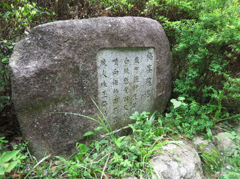 IMG_0290「梅峯飛瀑」の石碑.JPG