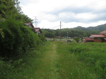 IMG_0367林道（左方向）.JPG