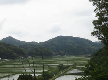 IMG_0387津々良ヶ岳（左端）.JPG