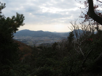 IMG_0531展望地から亀尾山・福西山.JPG