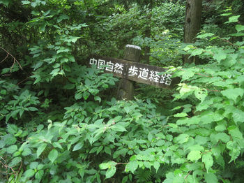 IMG_0679「中国自然歩道経路」の道標.JPG