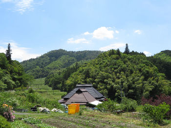 IMG_0830野丸岳.JPG