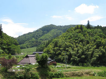 IMG_0831野丸岳.JPG