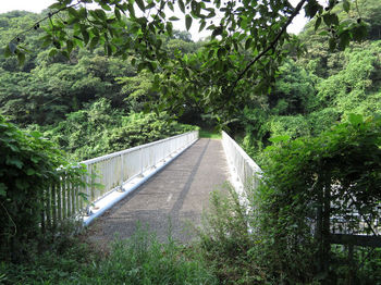 IMG_1199陸橋.JPG