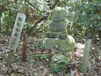 IMG_1392厚東武村の墓.JPG