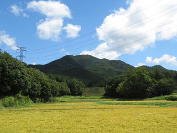 IMG_1598広域農道から大将山.JPG