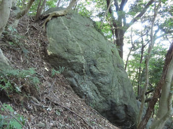IMG_1975腹切岩(横方向から）.JPG
