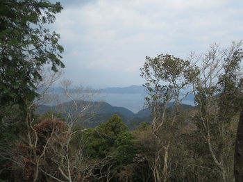 IMG_2462山島山.JPG