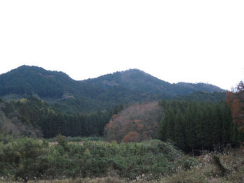 IMG_3304江嶺山.JPG