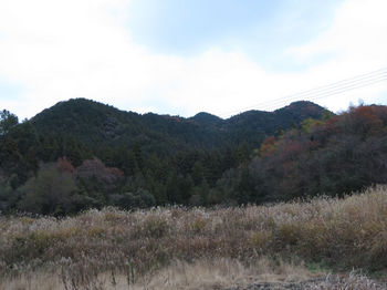 IMG_3308笹尾山(中央）.JPG