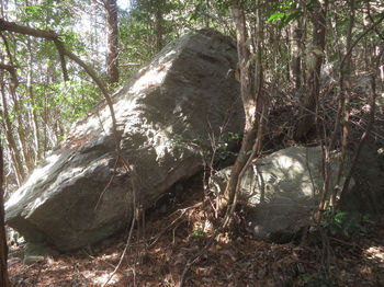 IMG_3382岩（横から）.JPG