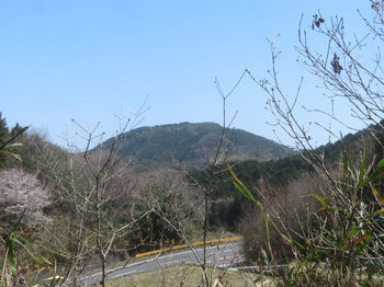 IMG_3651巡視路から桧ノ木ヶ嶽.JPG