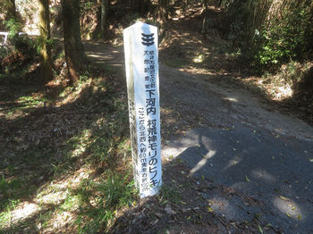 IMG_3709村荒神モリのヒノキ道標.JPG