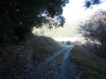IMG_3772林道分岐(左へ）.JPG