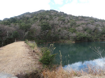 IMG_5571岩寿池から亀尾山.JPG