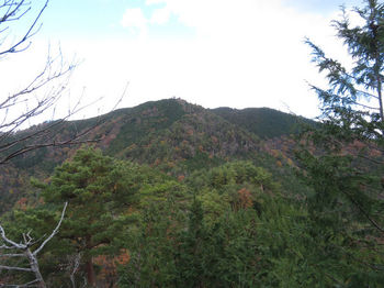 IMG_6115展望地から物見ヶ岳山頂方向.JPG