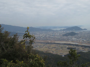IMG_6176江泊山.JPG