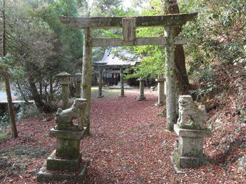 IMG_6276河内神社.JPG