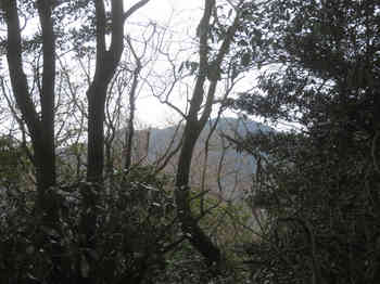 IMG_6334樹間展望（西方向・竜王山）.JPG