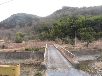 IMG_6377コン橋.JPG