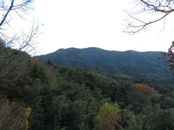 IMG_6618松尾寺付近から文殊山.JPG