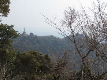 IMG_7133法師ヶ岳.JPG
