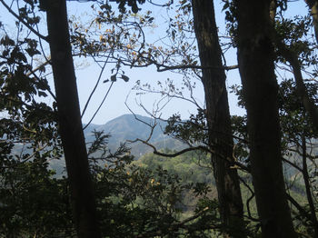 IMG_9374西方向の樹間展望（犬鳴山）.JPG
