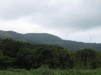 IMG_9512高頭山.JPG