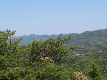 IMG_9939周鷹寺山（左)・官輪山.JPG