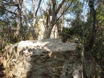 P1010392ピークの岩.JPG