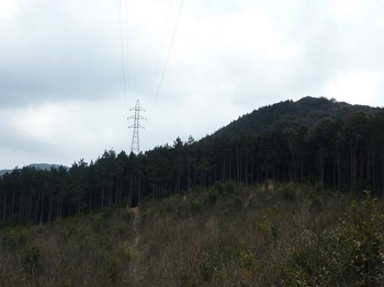 P1010767鉄塔No.22と丸尾山(逆方向）.JPG