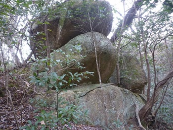 P1030799大岩１（下方から）.JPG