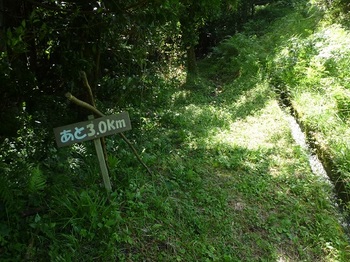 P1060203登山口道標(逆方向）.JPG