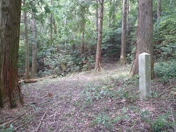 P1060506山王日吉神社跡地と石碑.JPG