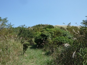 P1110717やや草被りの主稜線.JPG