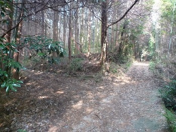 P1130877林道分岐（左へ）.JPG