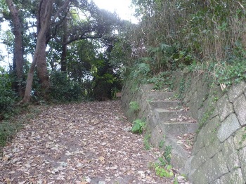 P1190483周回道沿いの石垣と石段.JPG