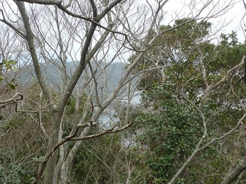 P1230547樹間に津尾山.JPG