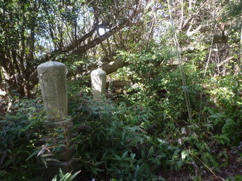 P1320386僧侶墓地（逆方向）.JPG