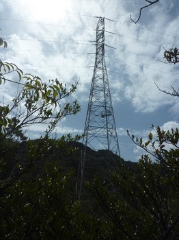 P1320439高圧線鉄塔.JPG